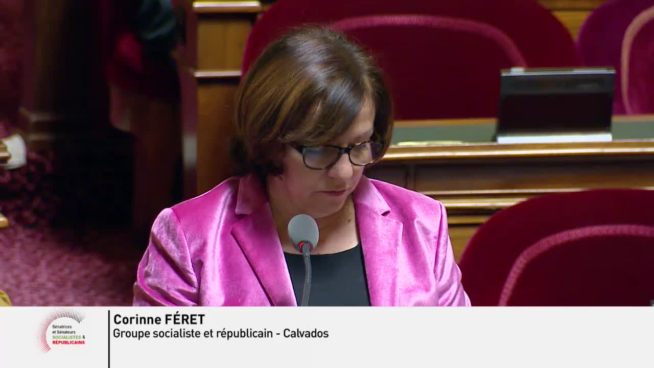 Séance publique du 30 novembre 2019 (après-midi)