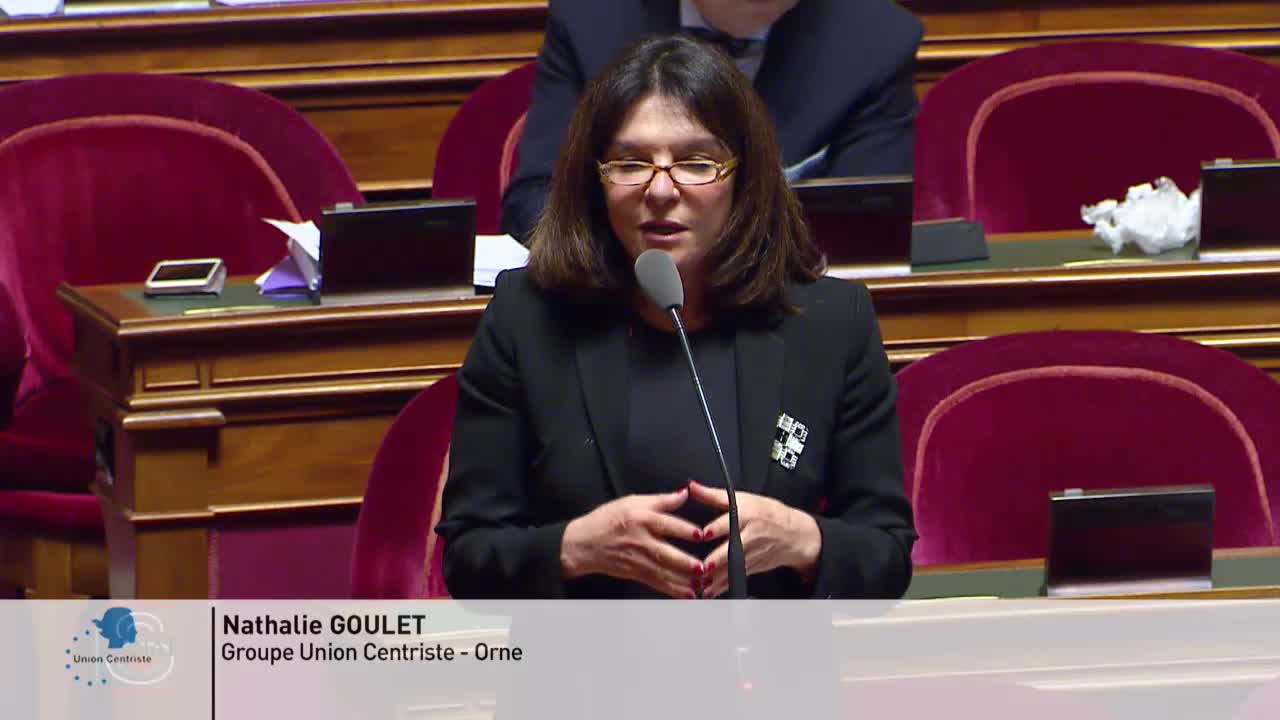 Séance publique du 30 novembre 2019 (après-midi)