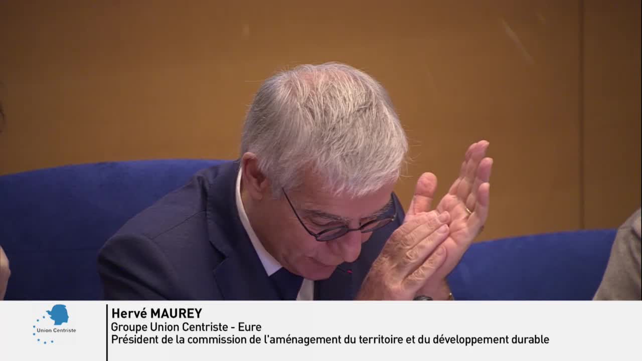 COP 25 - Audition de M. Michel Colombier, membre du Haut Conseil pour le climat, directeur scientifique de l'Institut du développement durable et des relations internationales (IDDRI) dans le cadre de la préparation de la COP 25