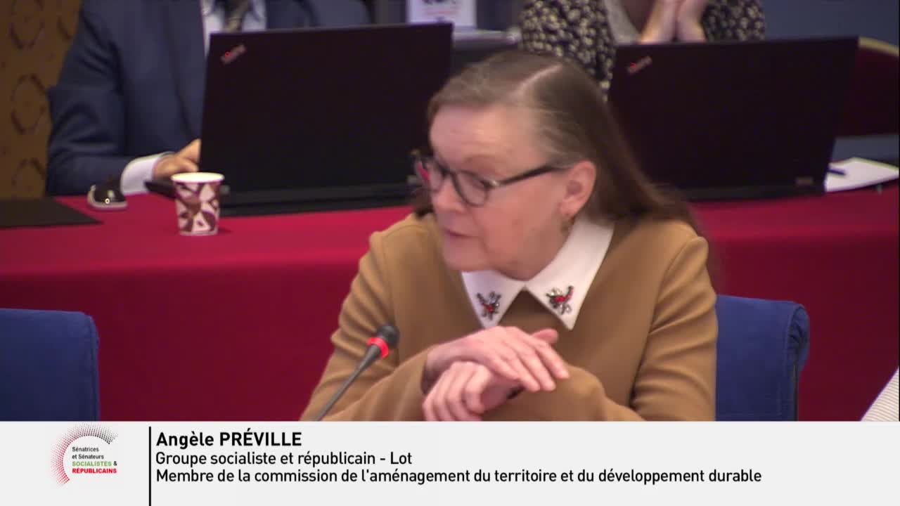 COP 25 - Audition de M. Michel Colombier, membre du Haut Conseil pour le climat, directeur scientifique de l'Institut du développement durable et des relations internationales (IDDRI) dans le cadre de la préparation de la COP 25