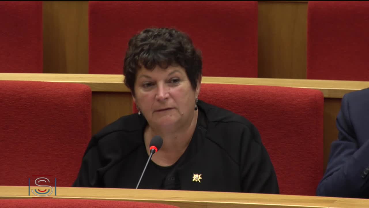 Audition de M. Laurent Castaing, directeur général des Chantiers de l'Atlantique