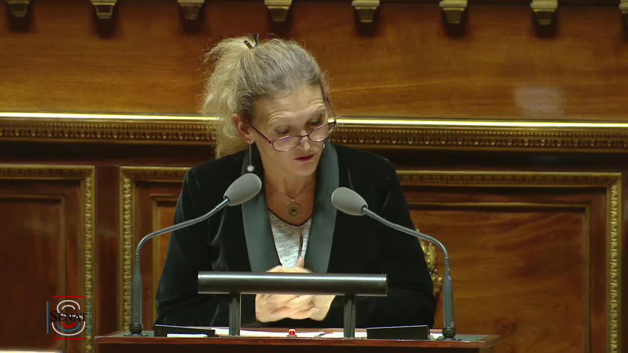 Séance publique du 5 décembre 2019 (soir)