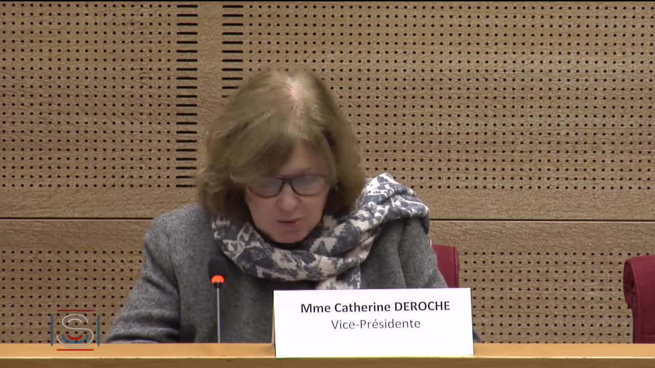 Audition de Mme Huguette Mauss, présidente du Conseil National pour l’accès aux origines personnelles (CNAOP).