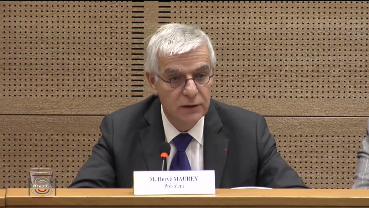 Audition de Mme Émilie Counil, chargée de recherche à l’Institut national d’études démographiques (INED)
