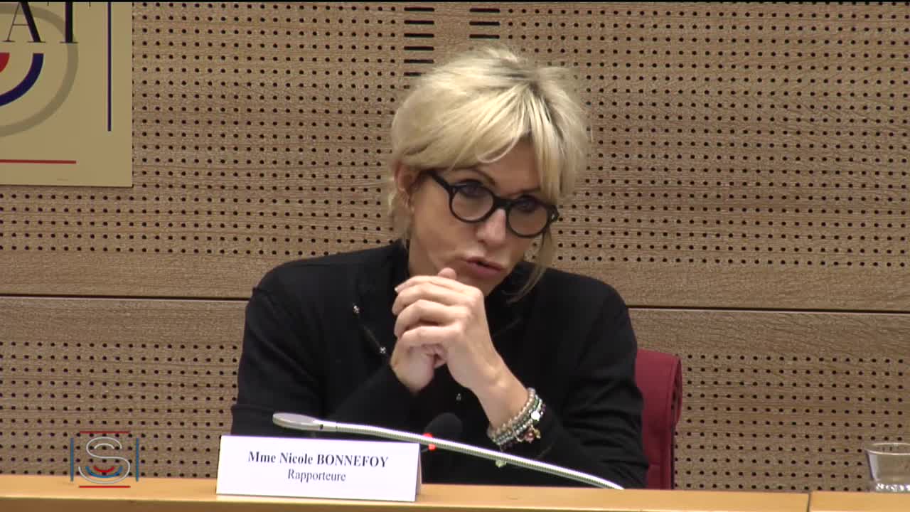 Audition de Mme Émilie Counil, chargée de recherche à l’Institut national d’études démographiques (INED)
