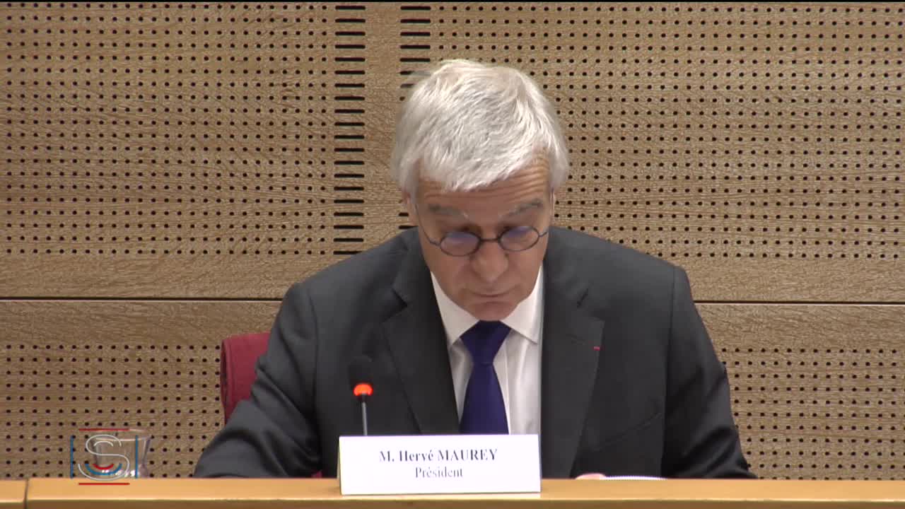 Audition de Mme Émilie Counil, chargée de recherche à l’Institut national d’études démographiques (INED)