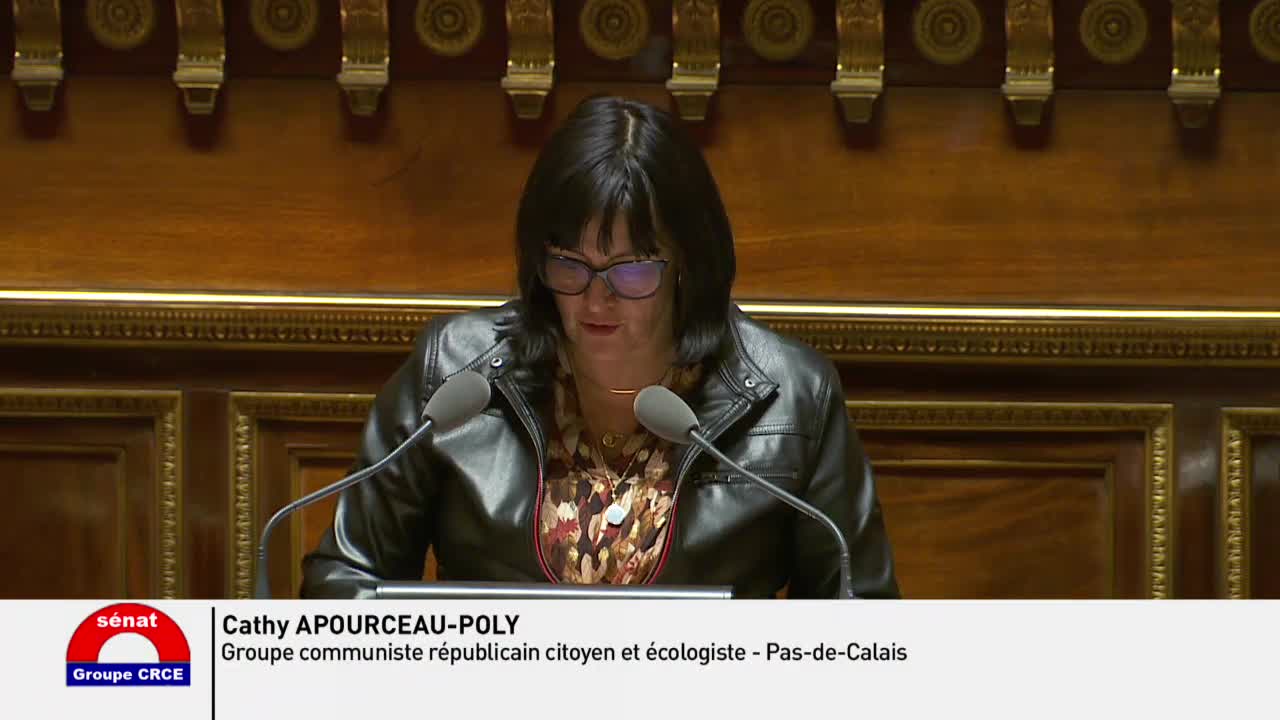 Séance publique du 11 décembre 2019 (après-midi)