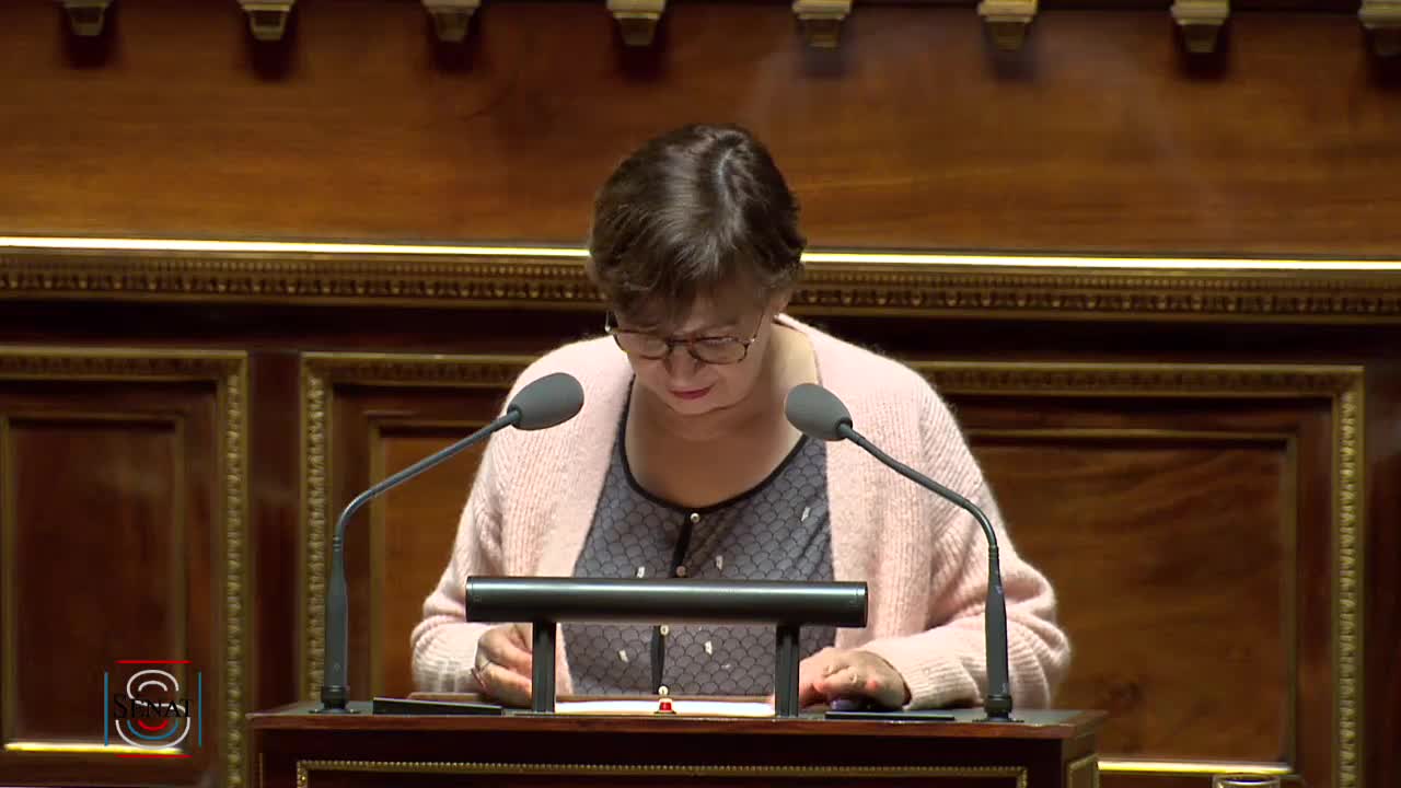 Séance publique du 17 décembre 2019 (après-midi)
