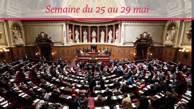 Sénat.Hebdo N°173 (29/05/2015)