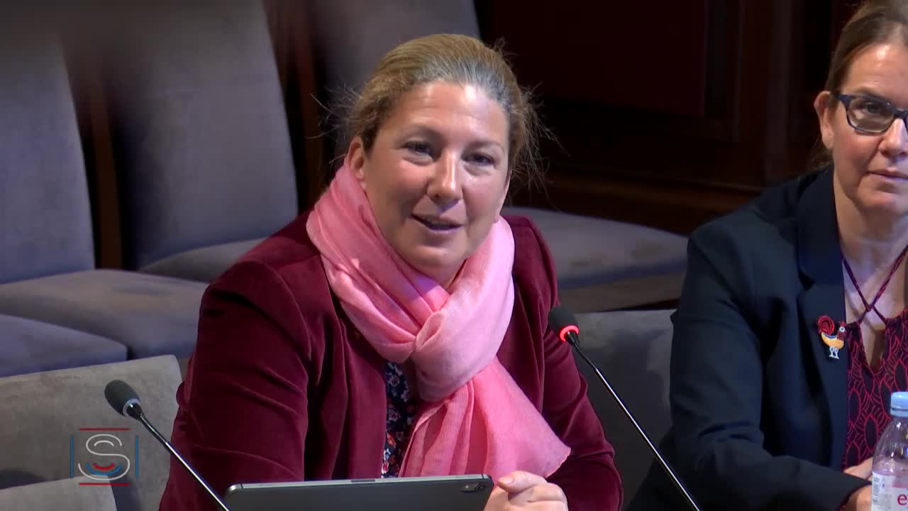 Audition de Mme Brigitte Grésy, présidente du Haut Conseil à l'égalité entre les femmes et les hommes.