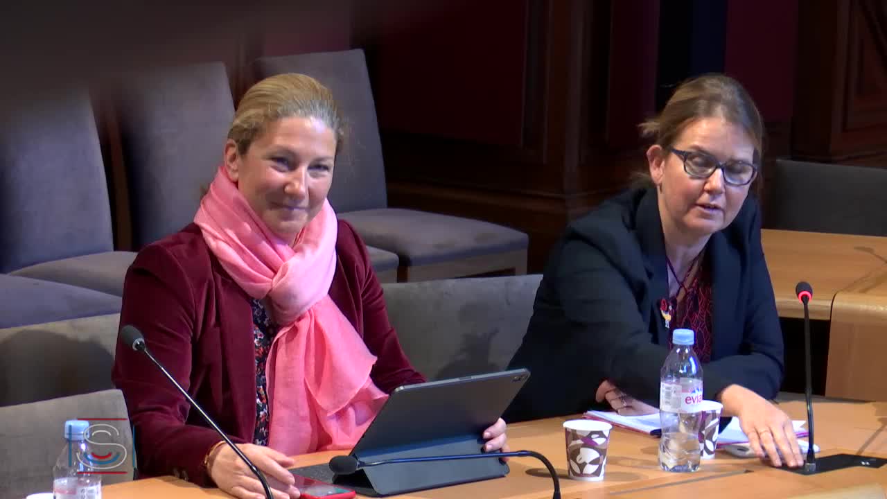 Audition de Mme Brigitte Grésy, présidente du Haut Conseil à l'égalité entre les femmes et les hommes.
