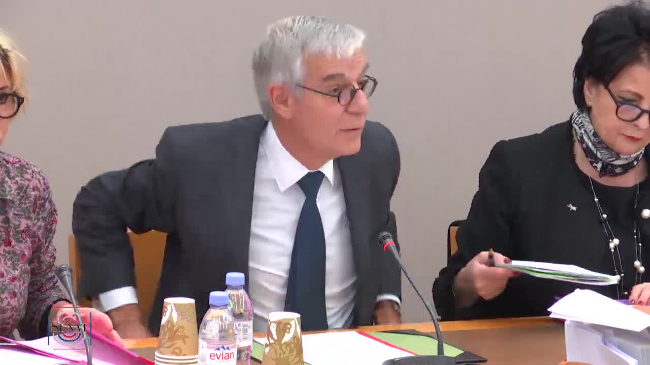 Audition de MM. les professeurs André Picot, président de l'association Toxicologie Chimie, Patrick Lagadec, directeur de recherche honoraire à l’École polytechnique et Jean‑François Narbonne, professeur honoraire de toxicologie