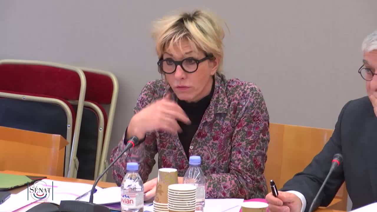Audition de MM. les professeurs André Picot, président de l'association Toxicologie Chimie, Patrick Lagadec, directeur de recherche honoraire à l’École polytechnique et Jean‑François Narbonne, professeur honoraire de toxicologie