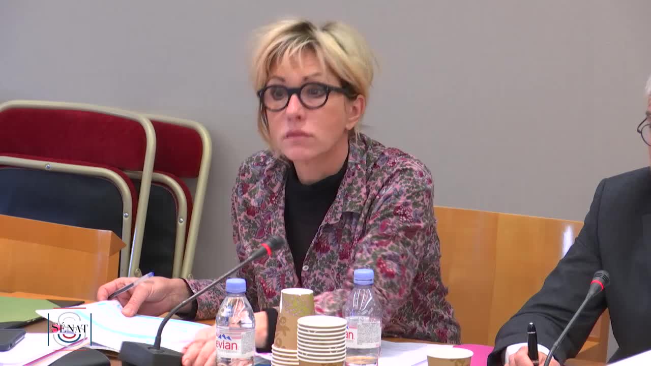 Audition de MM. les professeurs André Picot, président de l'association Toxicologie Chimie, Patrick Lagadec, directeur de recherche honoraire à l’École polytechnique et Jean‑François Narbonne, professeur honoraire de toxicologie