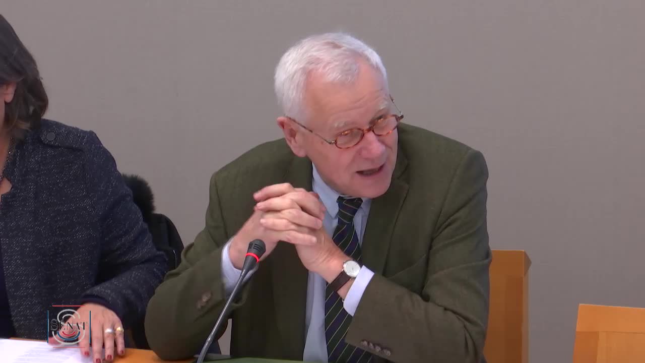 Patrimoine - Audition du général Jean-Louis Georgelin, président de l’Établissement public chargé de la conservation et de la restauration de la cathédrale Notre-Dame de Paris