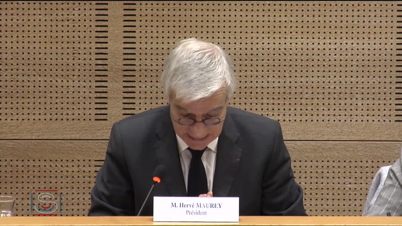 Audition de M. Alain Thirion, préfet, directeur général de la sécurité civile et de la gestion des crises