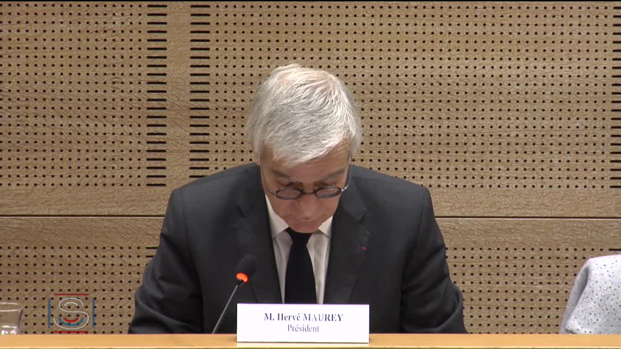 Audition de M. Alain Thirion, préfet, directeur général de la sécurité civile et de la gestion des crises