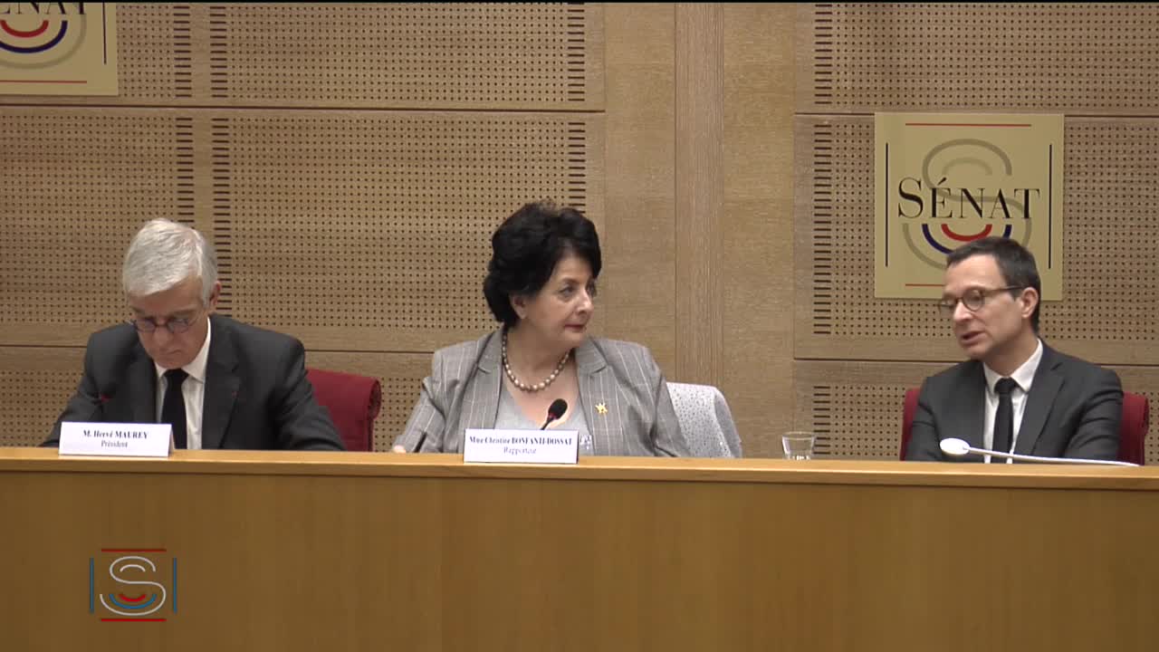 Audition de M. Alain Thirion, préfet, directeur général de la sécurité civile et de la gestion des crises