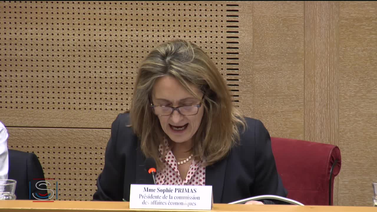 Chantiers de l'Atlantique - Audition de M. Hervé Guillou, président-directeur général de Naval Group