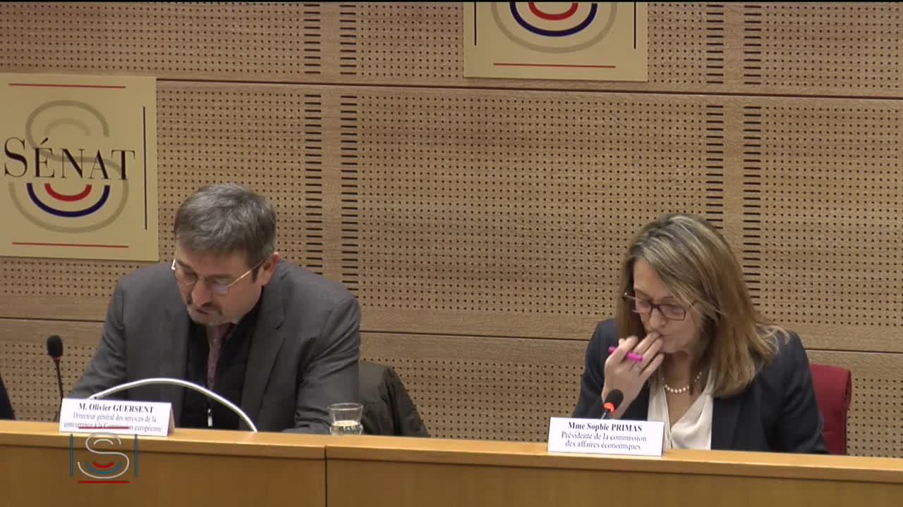 Commission des affaires économiques. Auditions de M. Olivier Guersent et de M. Philippe Wahl.