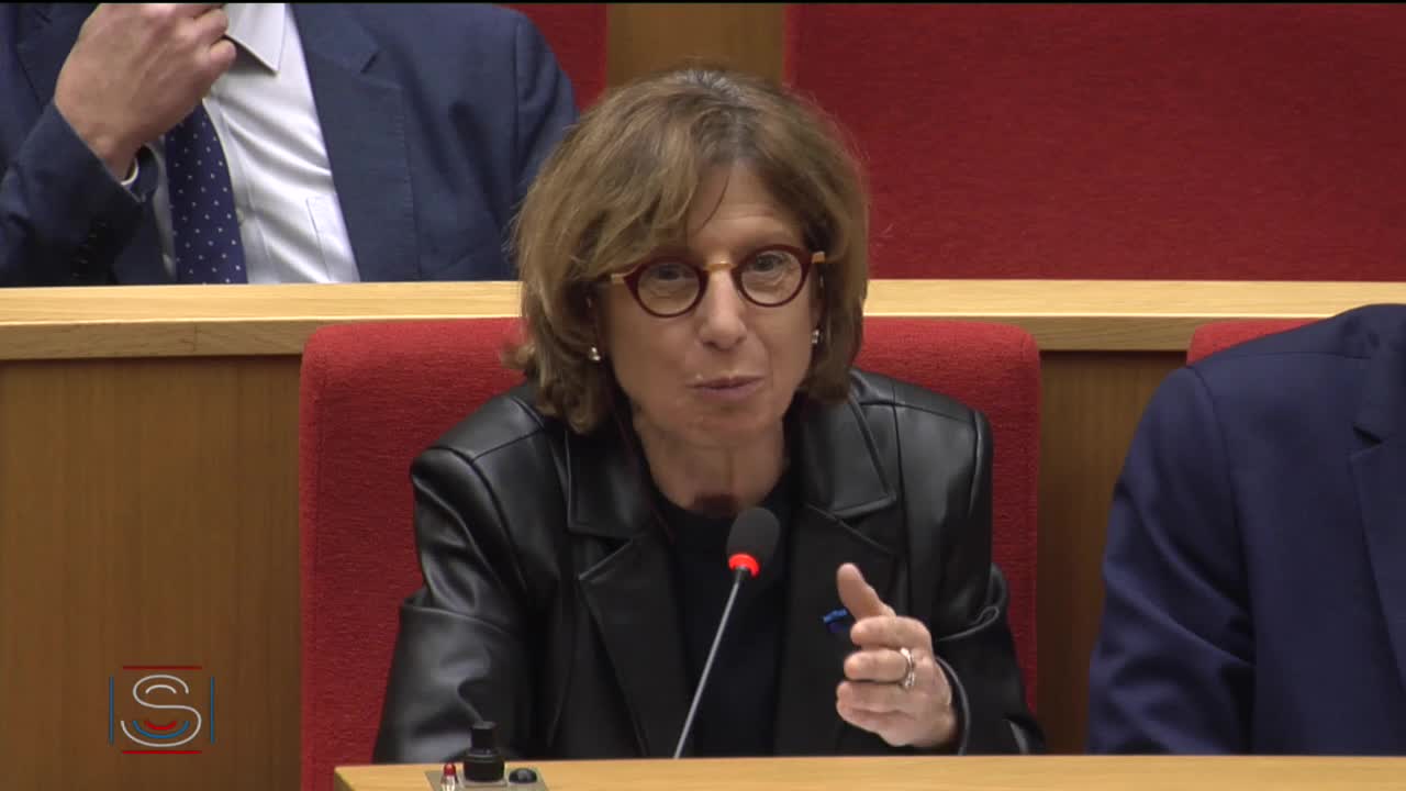 Commission des affaires économiques. Auditions de M. Olivier Guersent et de M. Philippe Wahl.