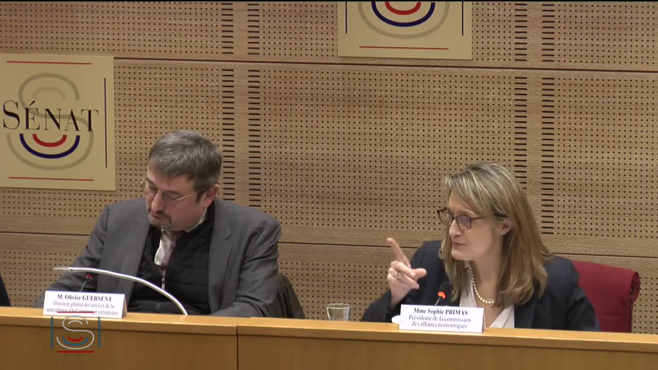 Commission des affaires économiques. Auditions de M. Olivier Guersent et de M. Philippe Wahl.