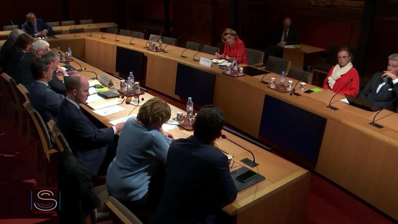 Nominations Article 13 - Audition de Mme Anne Levade