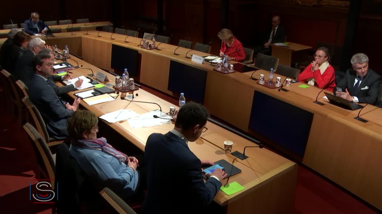 Nominations Article 13 - Audition de Mme Anne Levade