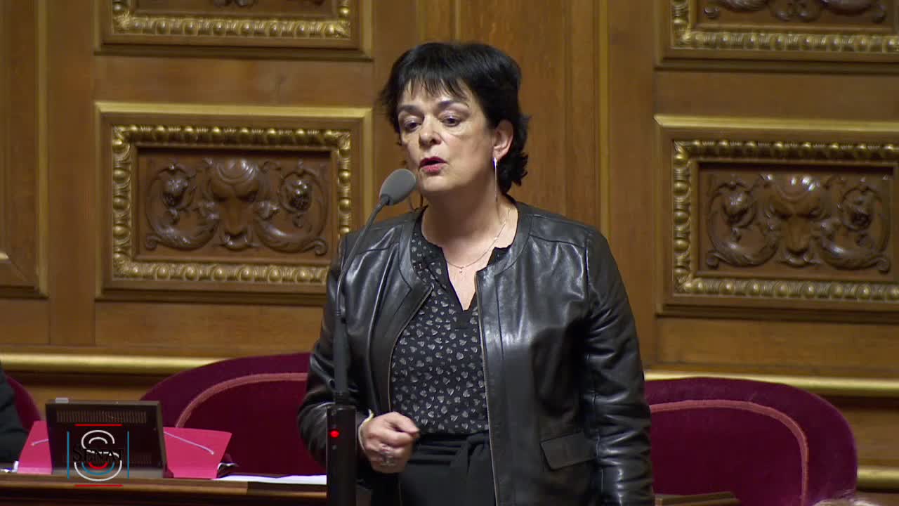 Séance publique du 28 janvier 2020 (après-midi)