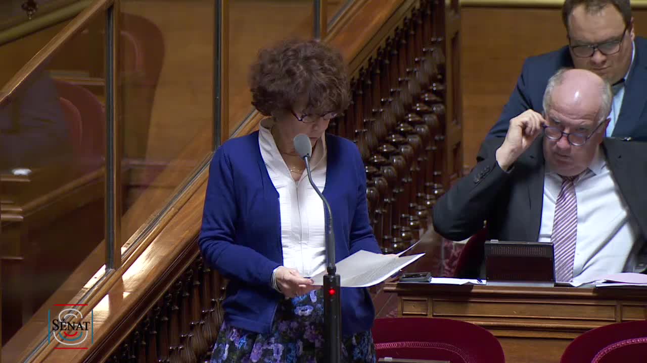 Séance publique du 28 janvier 2020 (après-midi)