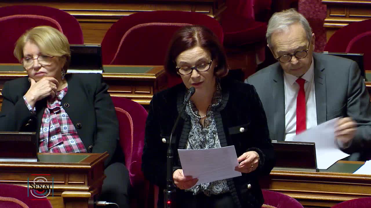 Séance publique du 29 janvier 2020 (après-midi)