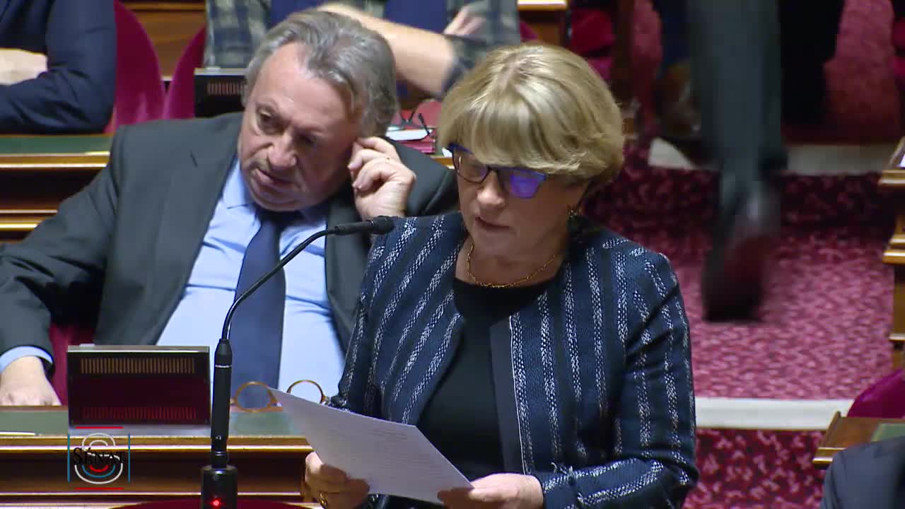 Séance publique du 29 janvier 2020 (après-midi)