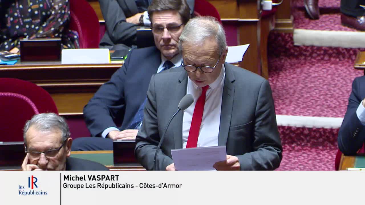 Séance publique du 29 janvier 2020 (après-midi)