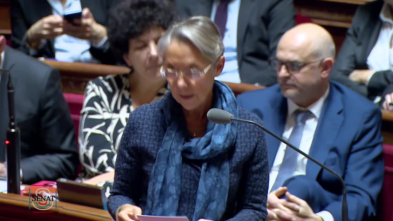 Séance publique du 29 janvier 2020 (après-midi)