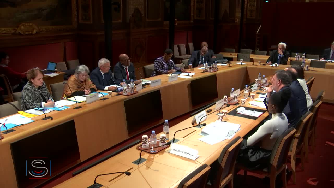 Audition dans le cadre de l'étude de la délégation sur les enjeux financiers et fiscaux européens en 2020 pour les outre-mer.