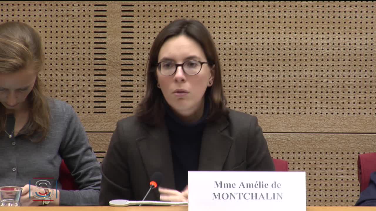 Audition de Mme Amélie de Montchalin sur la proposition de la Commission européenne pour le mandat de négociation de la relation future avec le Royaume-Uni