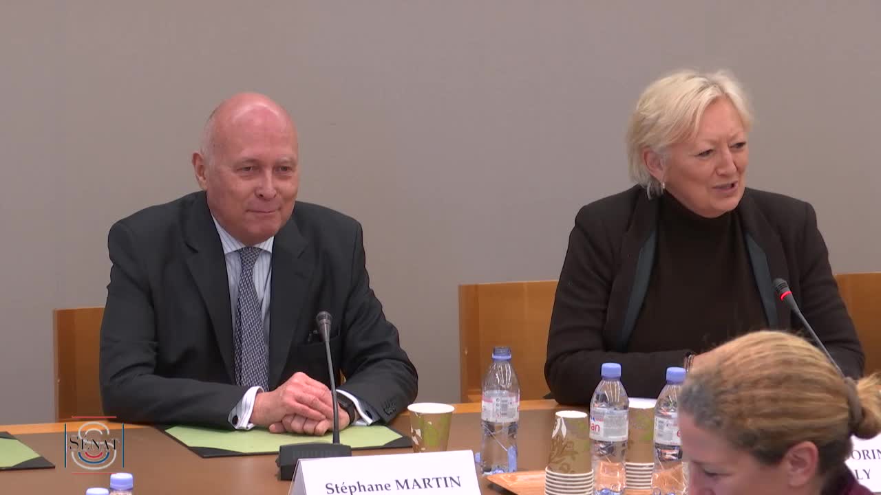 Restitution des biens culturels - Audition de M. Stéphane Martin, ancien président du musée du Quai Branly - Jacques Chirac