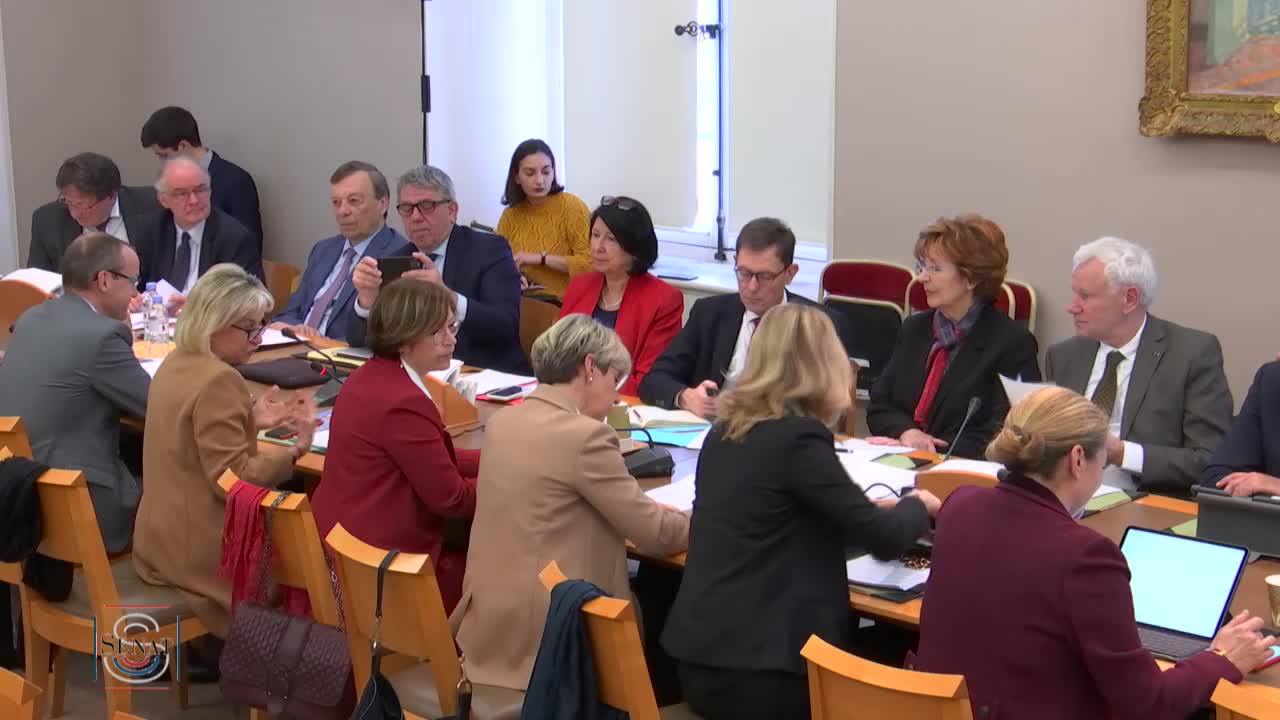 Restitution des biens culturels - Audition de M. Stéphane Martin, ancien président du musée du Quai Branly - Jacques Chirac