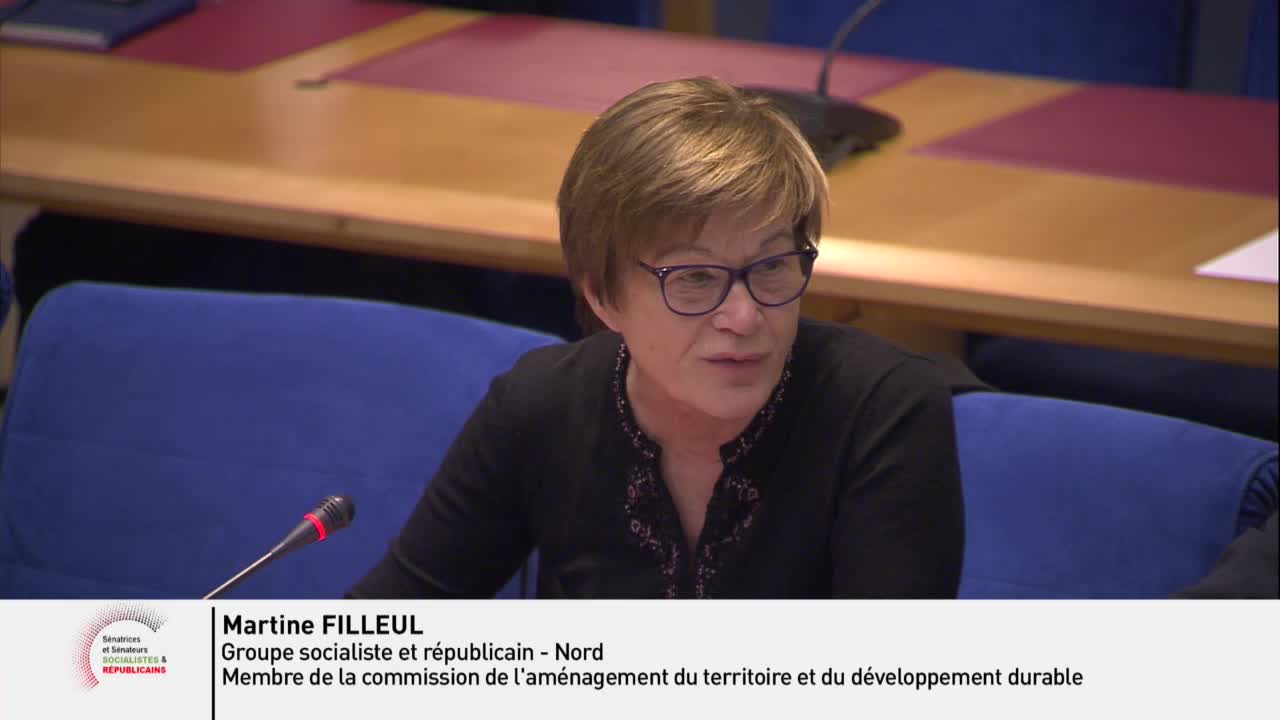 Haut Conseil pour le climat - Audition de Mme Corinne Le Quéré, Présidente