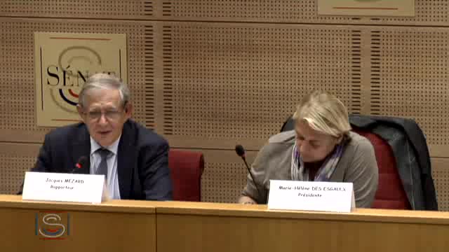 C.E. sur le bilan et le contrôle de la création, de l'organisation, de l'activité et de la gestion des autorités administratives indépendantes