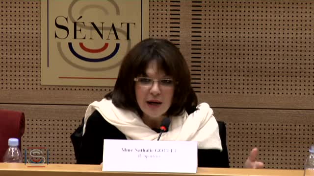 MI organisation, place et financement de l'Islam en France