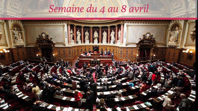 Sénat.Hebdo N°206 (08/04/2016)