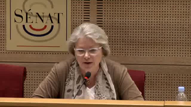 Audition conjointe sur l'archéologie préventive