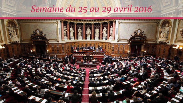Sénat.Hebdo N°207 (29/04/2016)