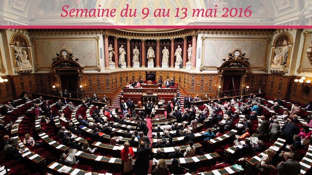Sénat.Hebdo N°209 (13/05/2016)