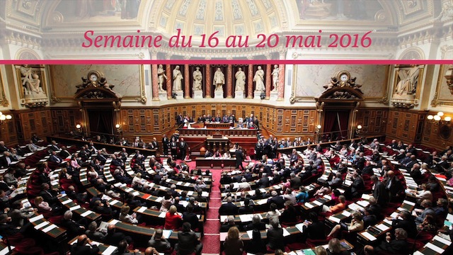 Sénat.Hebdo N°210 (20/05/2016)