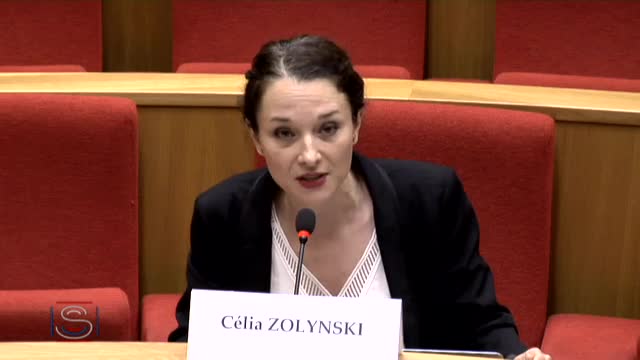 Audition conjointe sur l'Union européenne et les enjeux du numérique