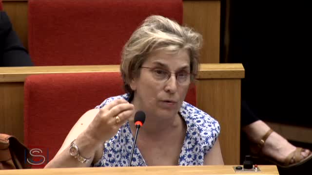 C.S. "PJL Égalité et citoyenneté"