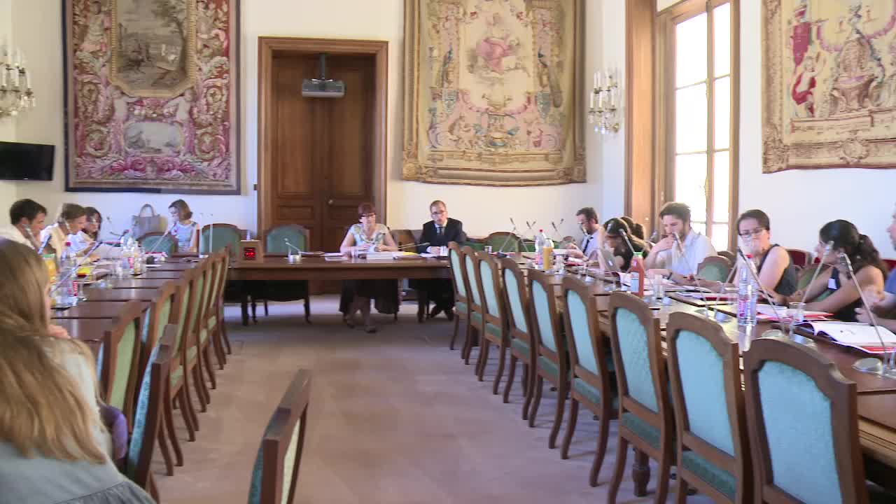 Crédit d'impôt pour la compétitivité et l'emploi (CICE)