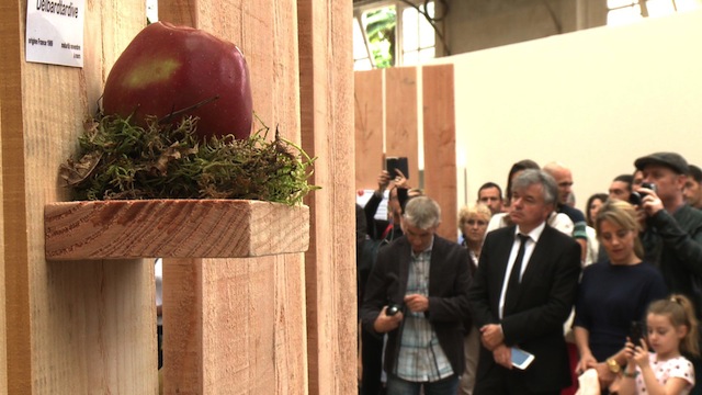 Exposition d'automne à l'Orangerie du Jardin du Luxembourg